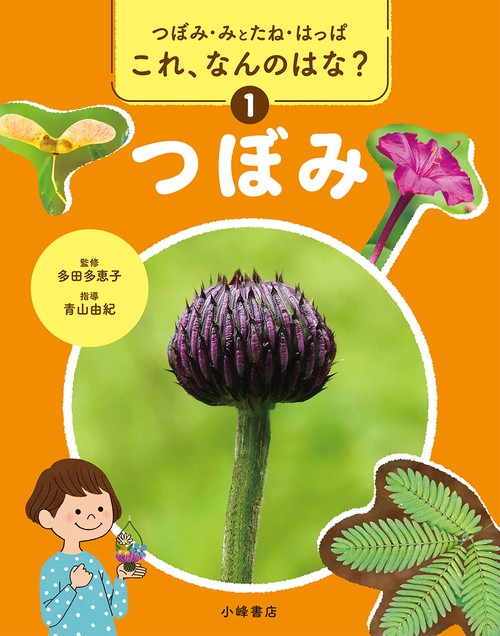 つぼみ・みとたね・はっぱ　これ、なんのはな？　①つぼみ