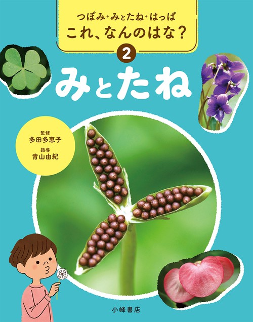 つぼみ・みとたね・はっぱ　これ、なんのはな？　②みとたね