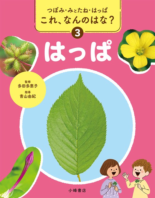 つぼみ・みとたね・はっぱ　これ、なんのはな？　③はっぱ