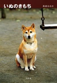 いぬのきもち