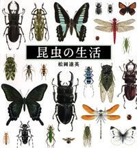 昆虫の生活