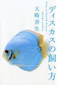ディスカスの飼い方