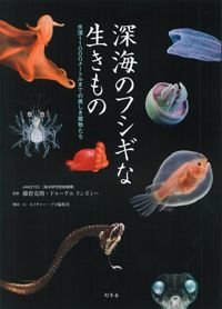 深海のフシギな生きもの 水深11000メートルまでの美しき魔物たち