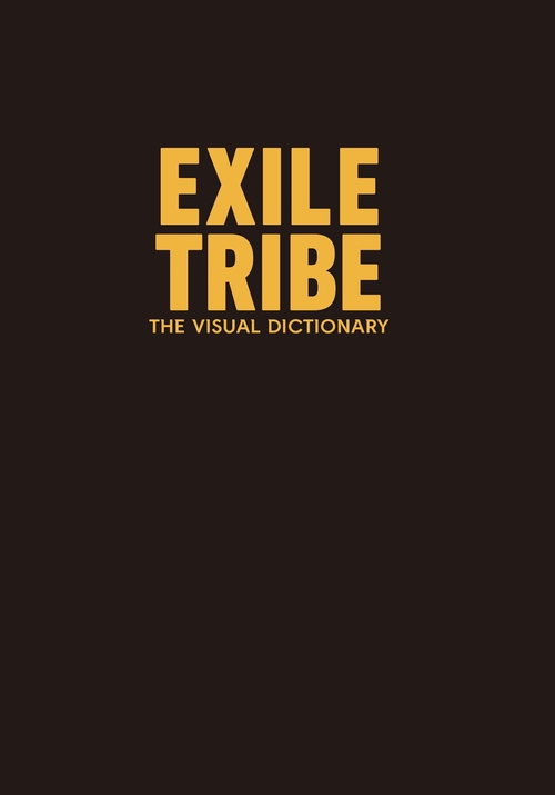 THE VISUAL DICTIONARY 初回限定版