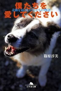 僕たちを愛してください