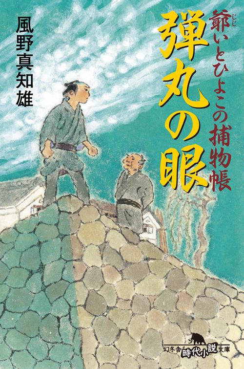 弾丸の眼