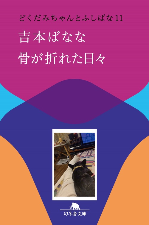 骨が折れた日々　どくだみちゃんとふしばな１１