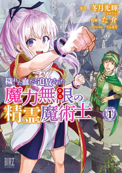 穢れた血だと追放された魔力無限の精霊 1