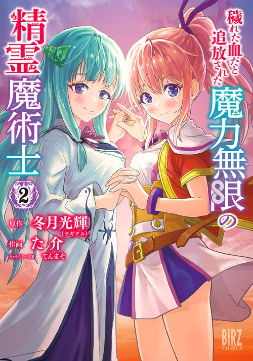 穢れた血だと追放された魔力無限の精霊 2