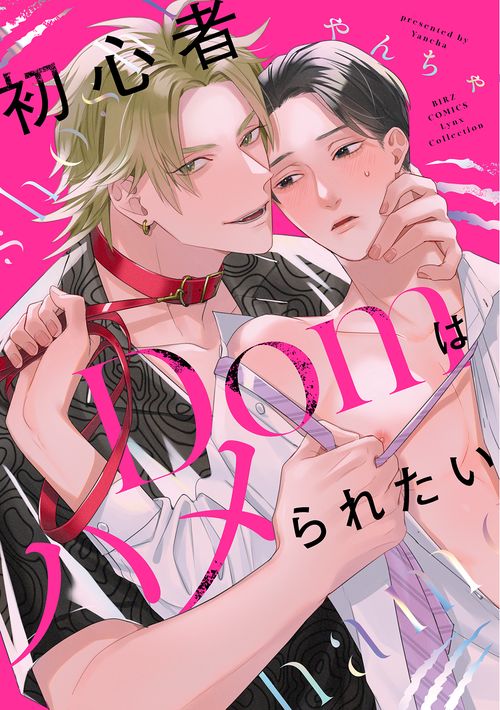初心者Ｄｏｍはハメられたい