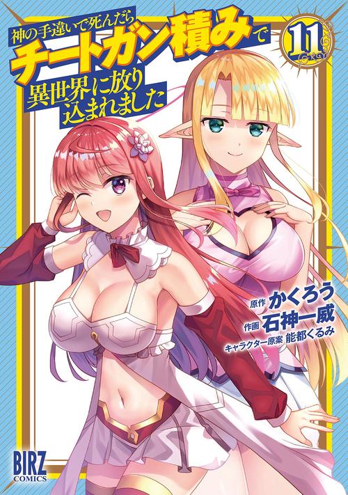 神の手違いで死んだらチートガン積みで異世界に放り込まれました 11