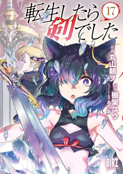転生したら剣でした 17