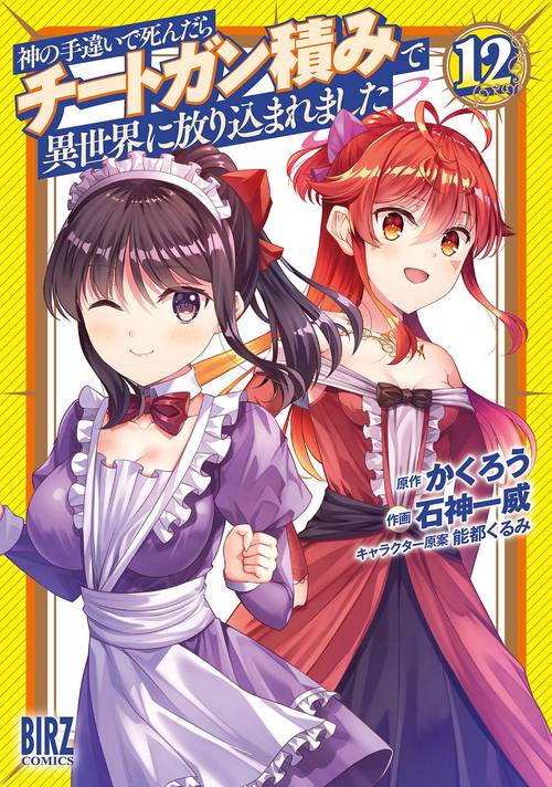 神の手違いで死んだらチートガン積みで異世界に放り込まれました 12