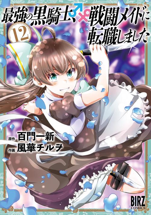 最強の黒騎士、戦闘メイドに転職しました 12