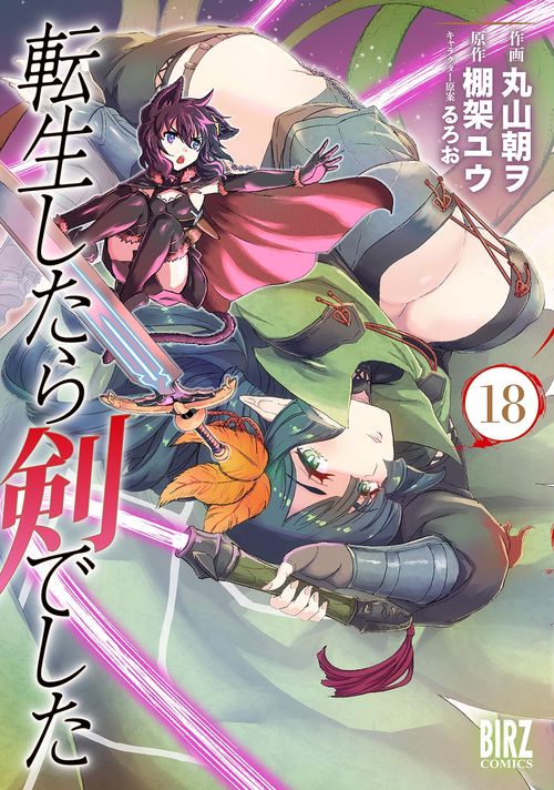 転生したら剣でした 18