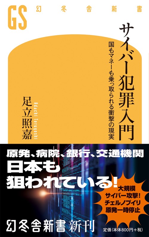 サイバー犯罪入門 国もマネーも乗っ取られる衝撃の現実