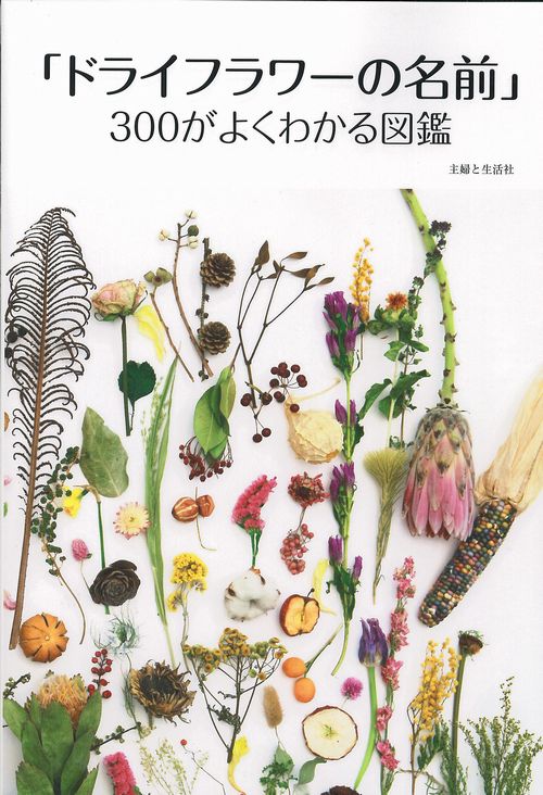 「ドライフラワーの名前」300がよくわかる図鑑