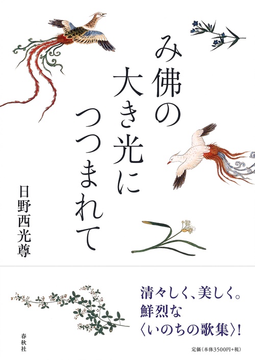 み佛の大き光につつまれて