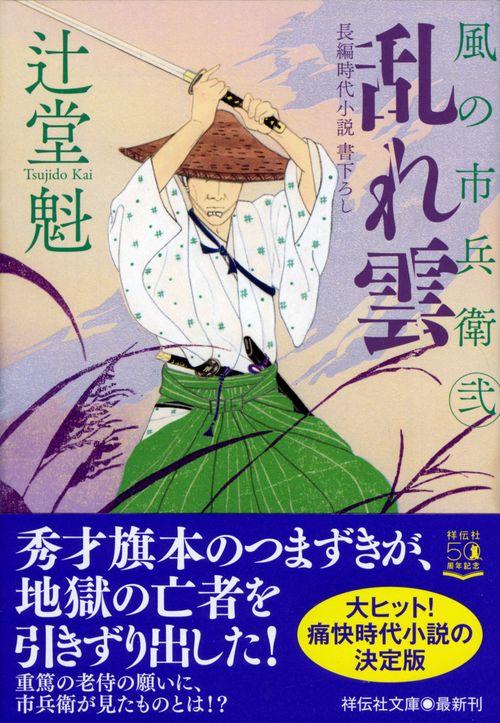 乱れ雲　風の市兵衛　弐