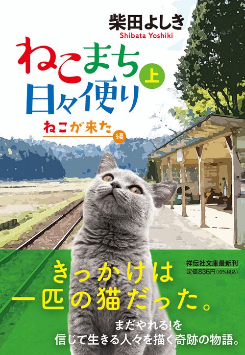 ねこまち日々便り(上)　ねこが来た編