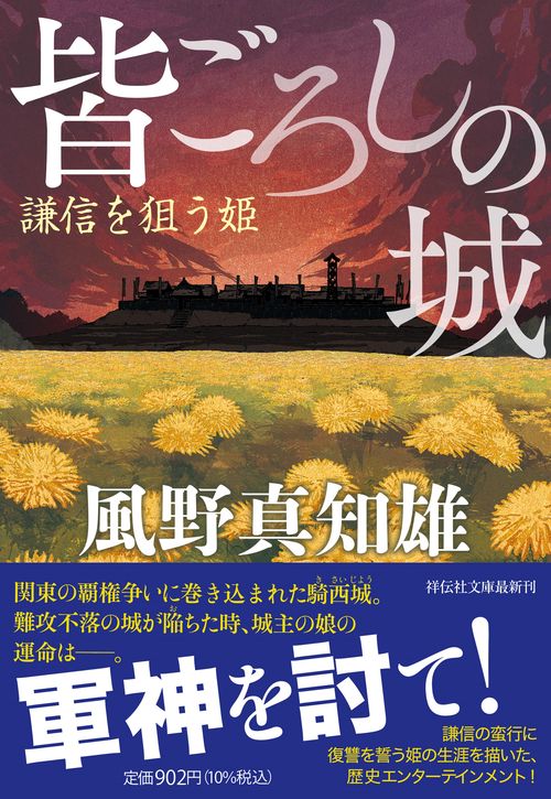 皆ごろしの城　謙信を狙う姫