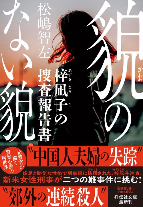 貌のない貌　梓凪子の捜査報告書