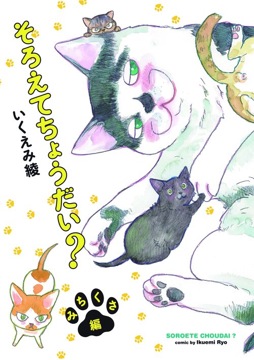 そろえてちょうだい？　みちくさ編