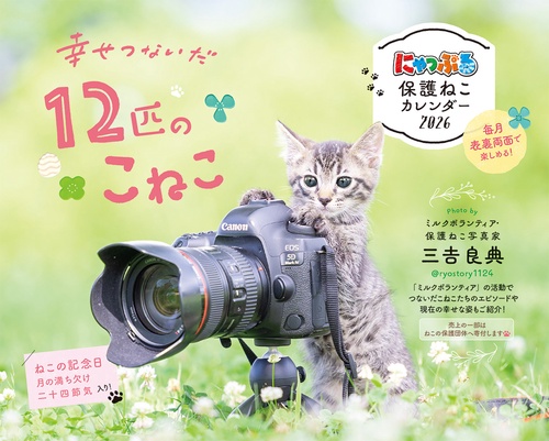 にゃっぷる保護ねこカレンダー2026卓上版「幸せつないだ１２匹のこねこ」／ねこの保護団体への寄付つき