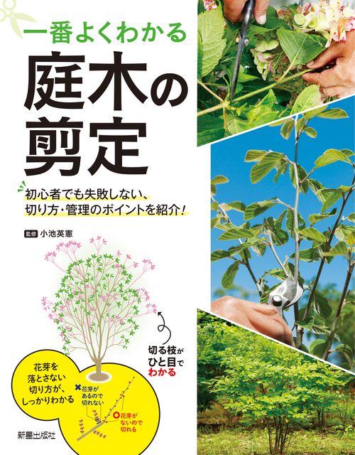 一番よくわかる庭木の剪定 初心者でも失敗しない、切り方・管理のポイントを紹介!