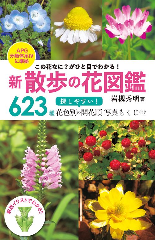 この花なに？ がひと目でわかる！ 新 散歩の花図鑑　APG分類体系Ⅳに準拠