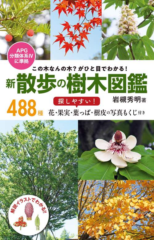 この木なんの木？がひと目でわかる！ 新 散歩の樹木図鑑