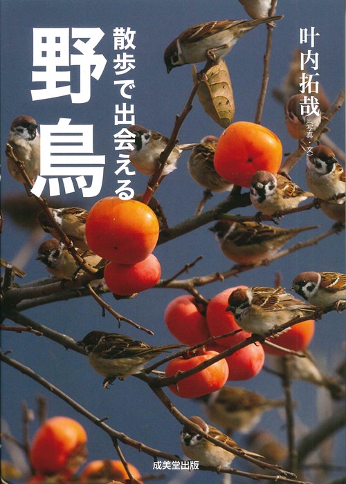 散歩で出会える野鳥