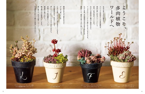 育てて楽しみ広がる多肉植物