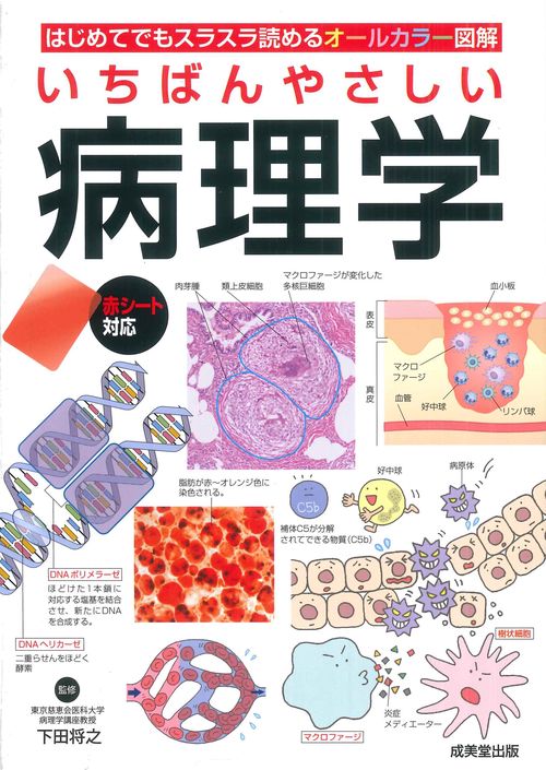 いちばんやさしい　病理学