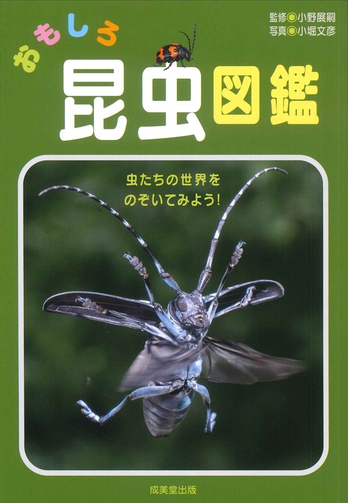 おもしろ昆虫図鑑