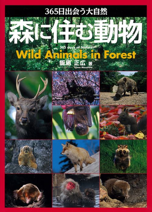 森に住む動物