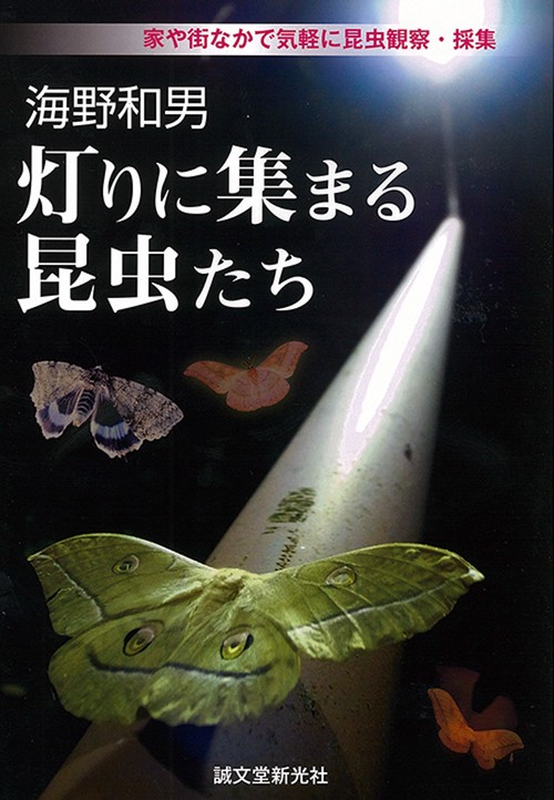 灯りに集まる昆虫たち 家や街なかで気軽に昆虫観察・採集