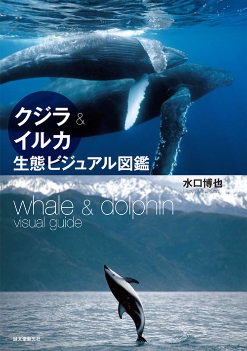 クジラ&イルカ生態ビジュアル図鑑