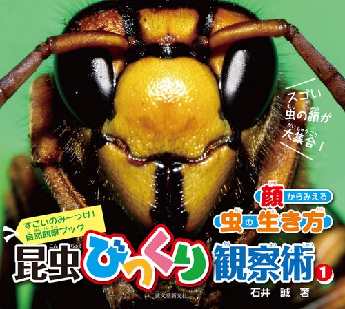 昆虫びっくり観察術 すごいのみーっけ!自然観察ブック 1