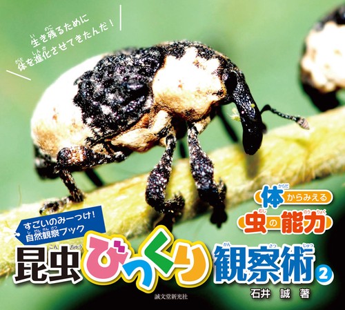 昆虫びっくり観察術 すごいのみーっけ!自然観察ブック 2