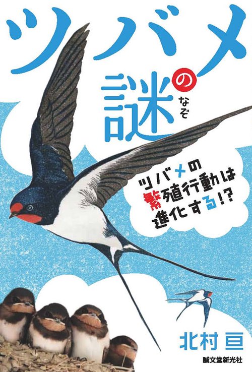 ツバメの謎 ツバメの繁殖行動は進化する!?