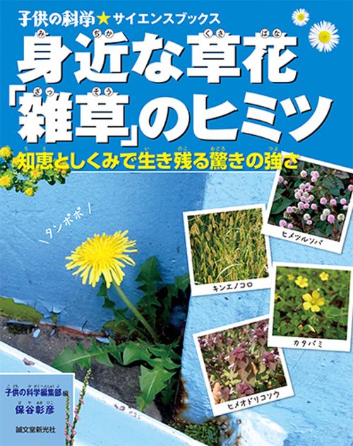 身近な草花「雑草」のヒミツ