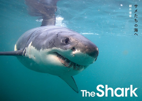The Shark サメたちの海へ