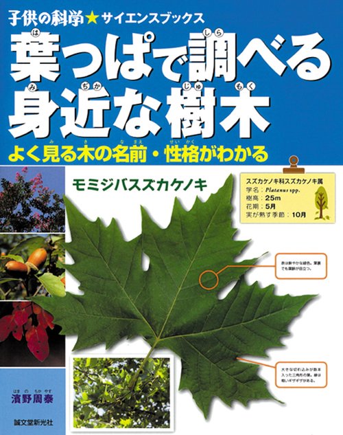 葉っぱで調べる身近な樹木 よく見る木の名前・性格がわかる