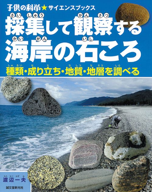 採集して観察する海岸の石ころ 種類・成り立ち・地質・地層を調べる