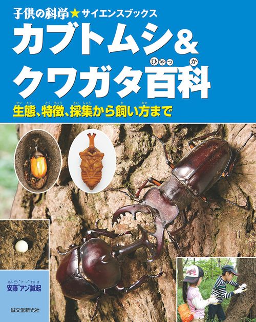 カブトムシ&クワガタ百科 生態、特徴、採集から飼い方まで