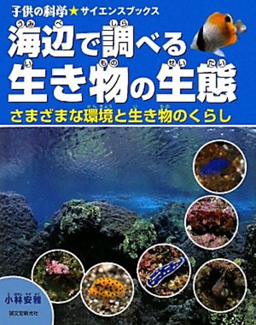 海辺で調べる生き物の生態 さまざまな環境と生き物のくらし