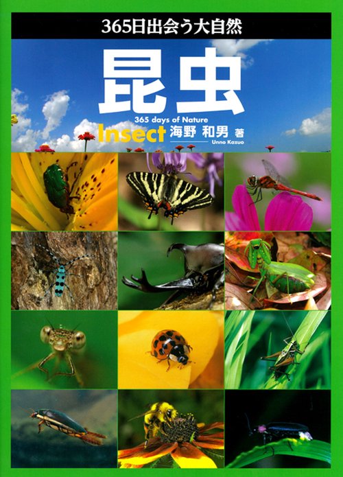 昆虫