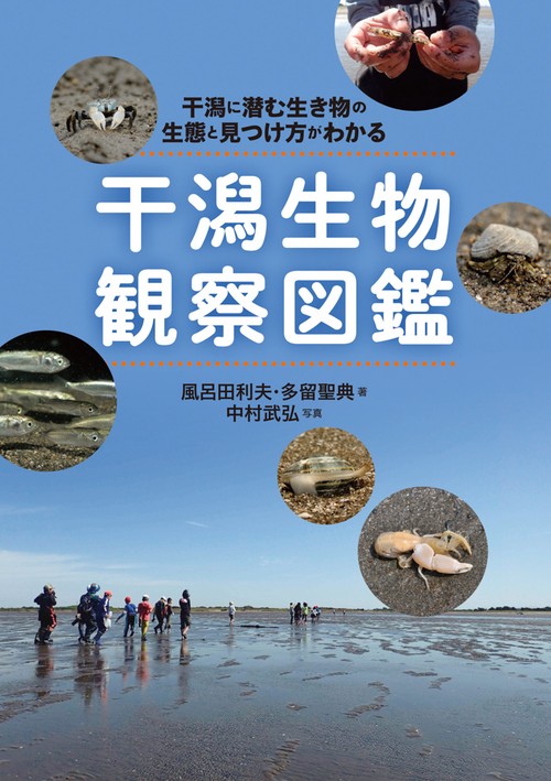 干潟生物観察図鑑 干潟に潜む生き物の生態と見つけ方がわかる