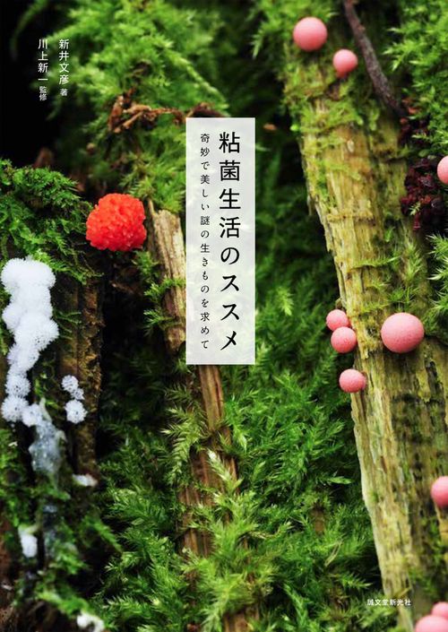 粘菌生活のススメ 奇妙で美しい謎の生きものを求めて